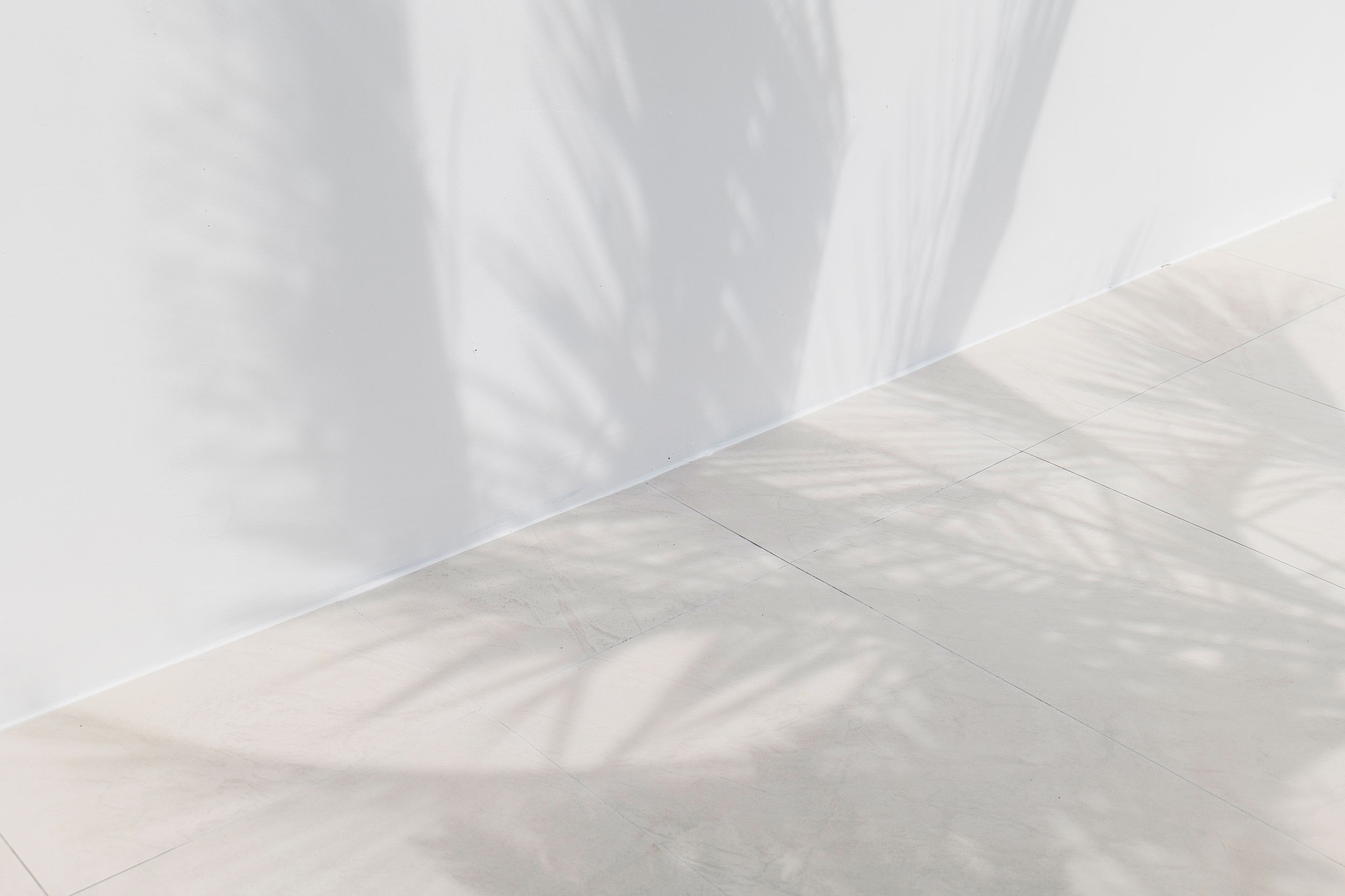 레드콩풀빌라의103